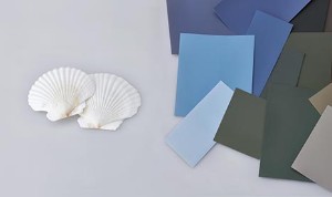 ホタテ貝殻パウダー